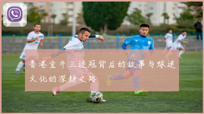 香港金牛三连冠背后的故事与球迷文化的深耕之路