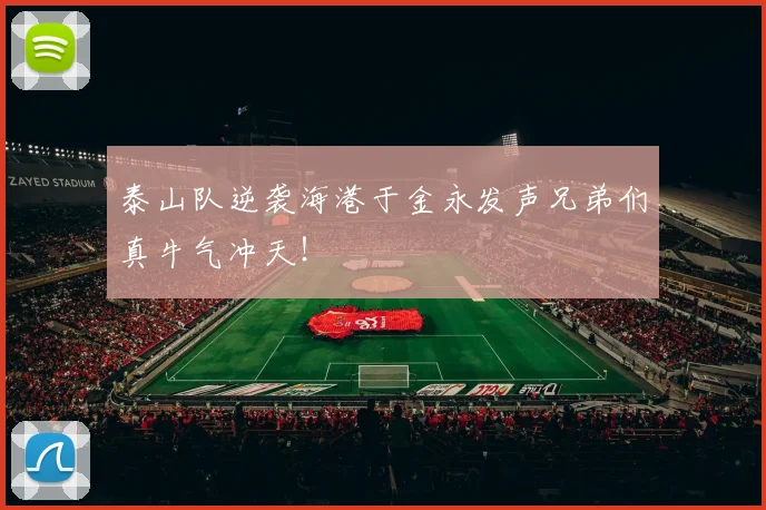 泰山队逆袭海港于金永发声兄弟们真牛气冲天!
